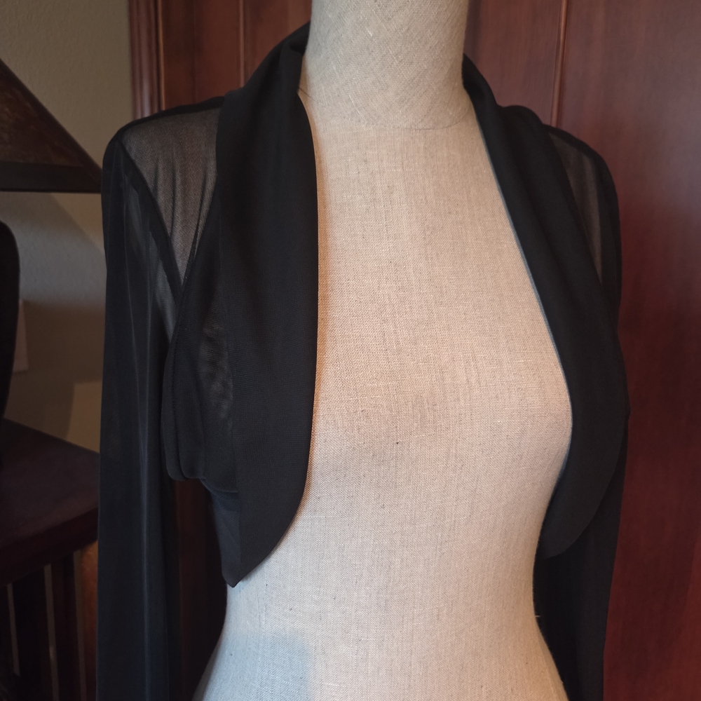 B. Smart Black Sheer Women's Blazer
